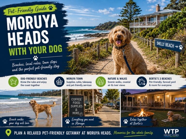 Featured image for a pet-friendly Moruya Heads guide, showing a dog-friendly coastal stay near Shelly Beach, local beach walks and Bertie’s as the featured holiday home.